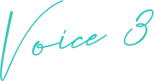 voice3